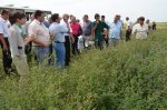 Field Day in Kursk Oblast