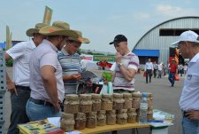 Международный День поля в Тульской области