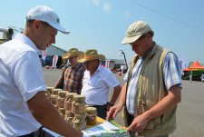 Международный День поля в Тульской области