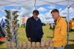 Field Day in Kaluga oblast