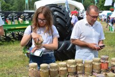 День Воронежского поля — 2017