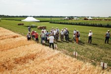 Агротехнологический семинар, Воронежская область, 07.07