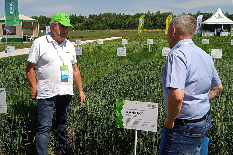 EkoNiva’s new in-house bred varieties on exhibition in Kazan