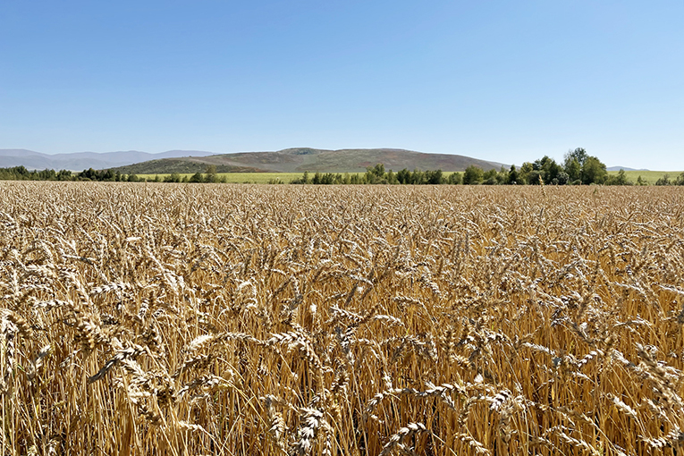 EkoNiva-Semena studies agricultural areas of Kazakhstan