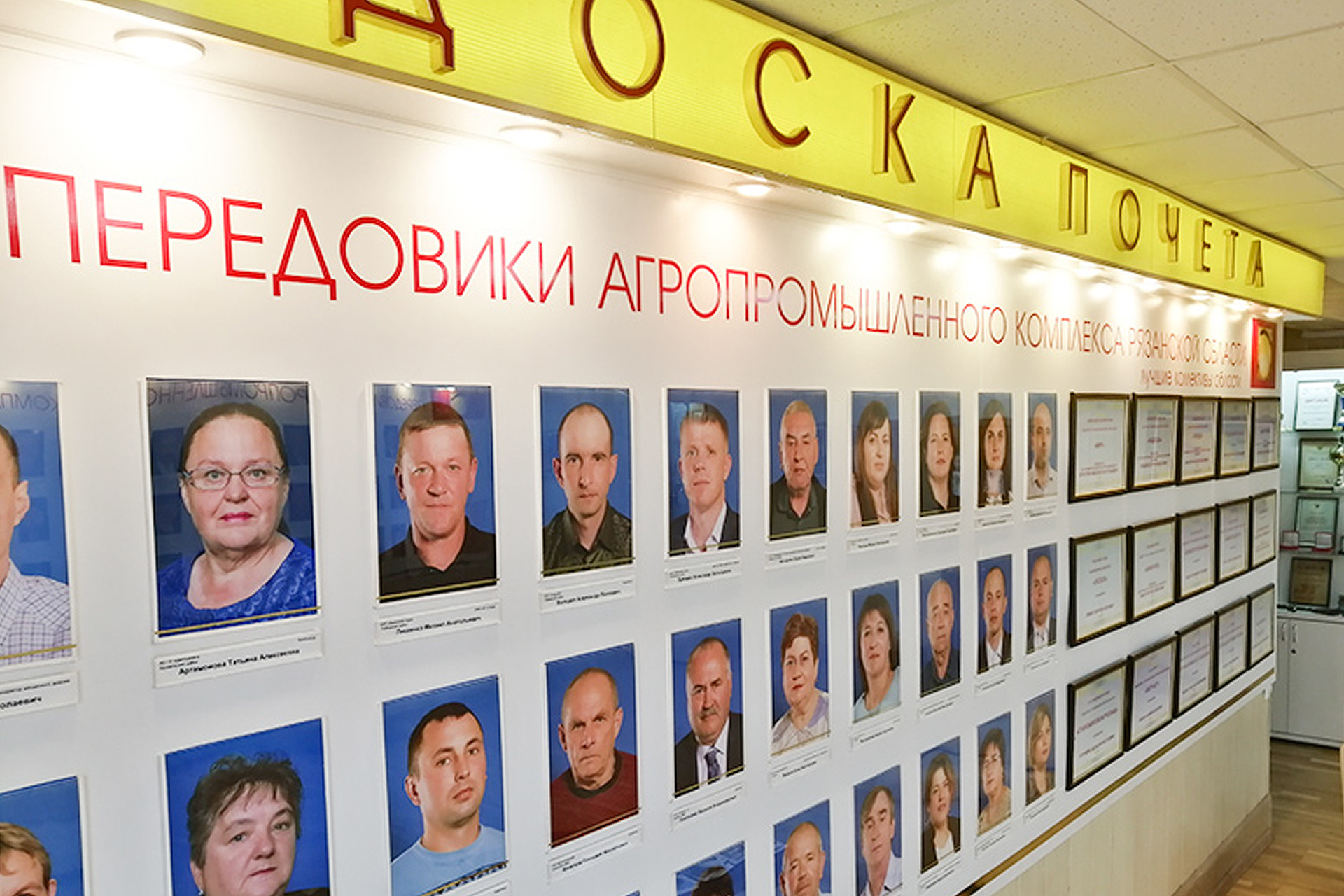 EkoNiva’s employees receive state awards in Ryazan